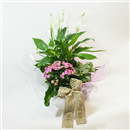 /fileuploads/Produtos/Plantas Naturais/thumb__Um_Jardim_Para_Ti_01.jpg